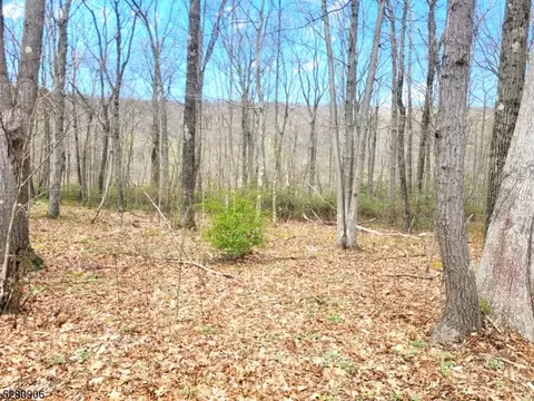 17 Maple Ln, Frankford Twp, NJ 07826