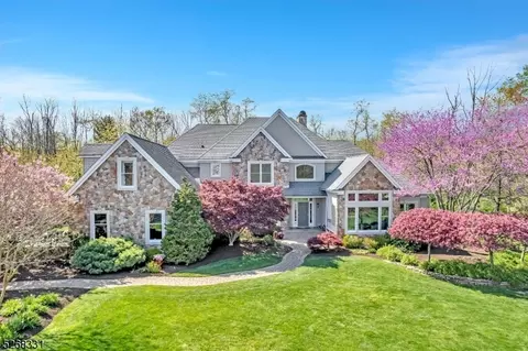 35 Moores Grove Ct, Montgomery, NJ 08558