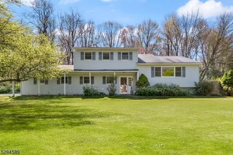 4 Deer Path, Washington Twp, NJ 07853