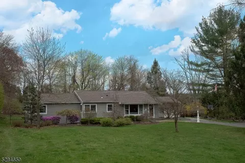 9 Condit St, Roxbury Twp, NJ 07876