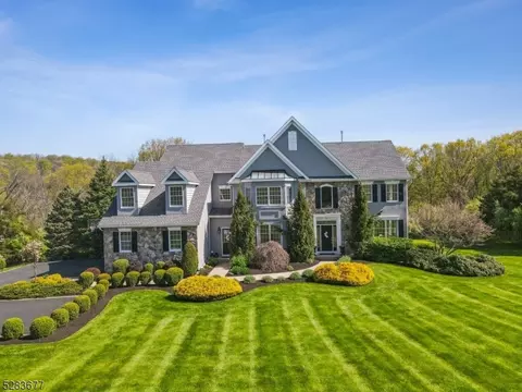 4 Winterberry Ct, Readington Twp, NJ 08889