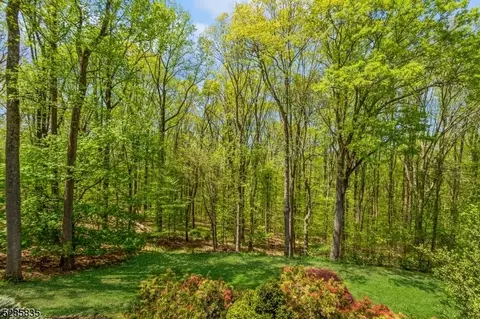 9 Chidester Rd, Randolph, NJ 07869 photo 20