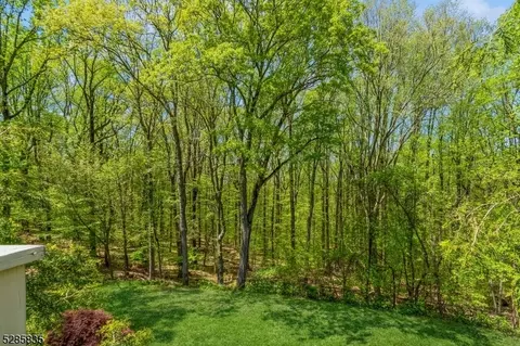 9 Chidester Rd, Randolph, NJ 07869 photo 44