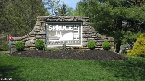 2008 Spruce Hills Dr, Glen Gardner, NJ 08826