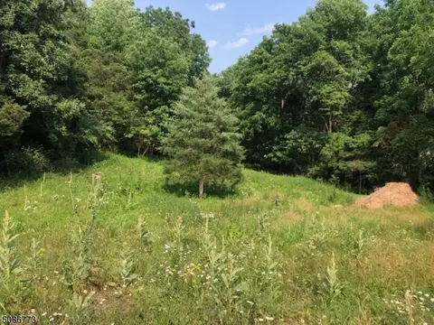 36 Jones Ln, Hardwick Twp, NJ 07825