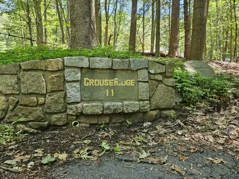 11 Calais Rd, Mendham Twp, NJ 07945