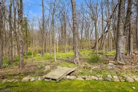 36 Ridgeview Ter, Wayne, NJ 07470 photo 42
