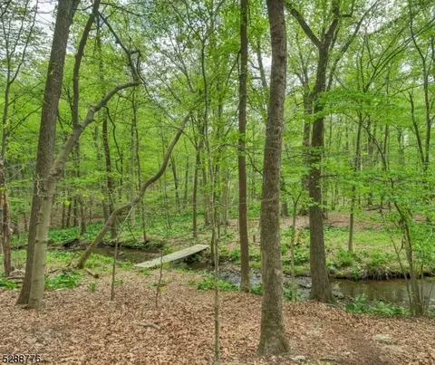 39 Willow Dr, Chester, NJ 07930 photo 36
