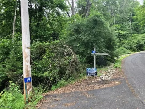 11 Bingham Ln, Blairstown Twp, NJ 07825