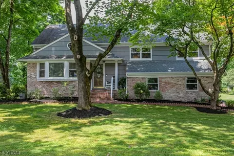 388 Burnt Hill Rd, Montgomery, NJ 08558
