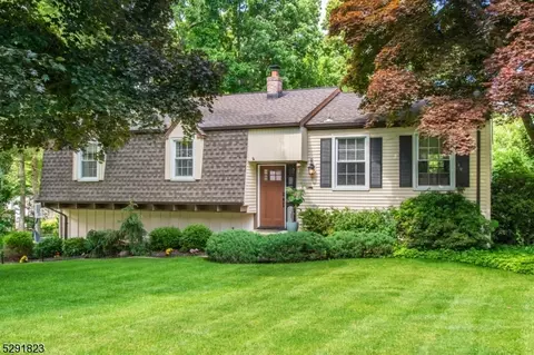 28 Forest Dr, Roxbury Twp, NJ 07876
