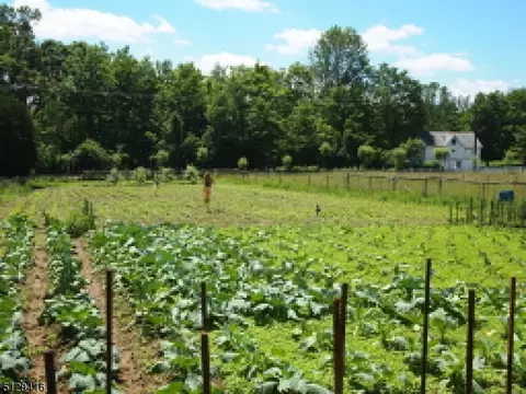 Other - 110 Van Syckels Rd, Hampton, NJ 08827 photo 10 of 11