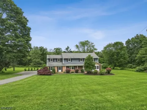 58 Lowery Ln, Mendham Twp, NJ 07945
