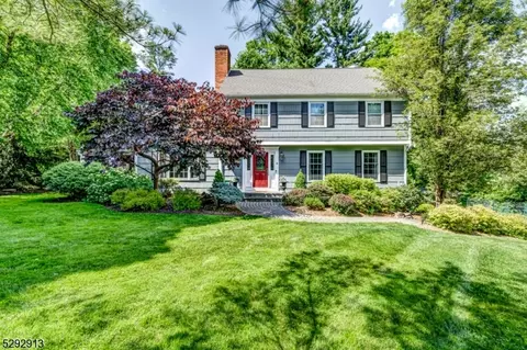 20 Maple Village Ct, Bernardsville, NJ 07924
