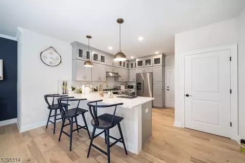 19 Robeson St #19, Somerville, NJ 08876