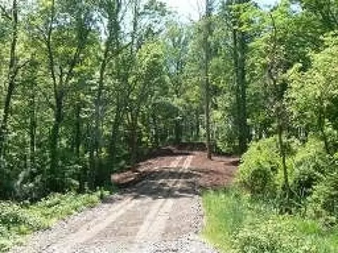 97 Hartpence Rd, Alexandria Twp, NJ 08848