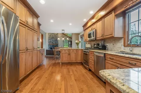 3 Einstein Ct, Flemington, NJ 08822 photo 18