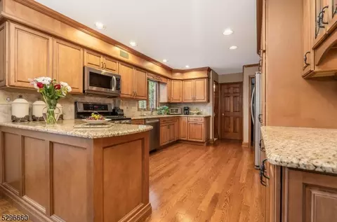 3 Einstein Ct, Flemington, NJ 08822 photo 17