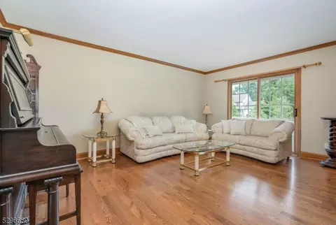 3 Einstein Ct, Flemington, NJ 08822 photo 7