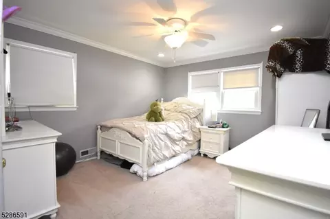 39 Cathyann Ct, Wayne, NJ 07470 photo 29