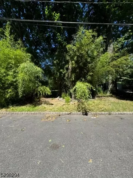 28 Mccall Ave, Livingston Twp, NJ 07039