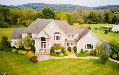 3 Pheasant Ct, Califon, NJ 07830