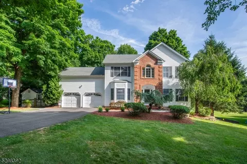 20 Marjaleen Dr, Randolph, NJ 07869