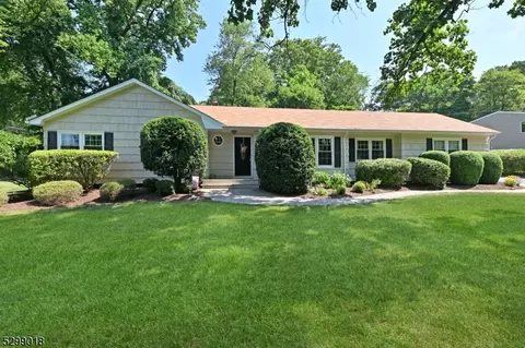 20 Misty Mountain Rd, Randolph, NJ 07869