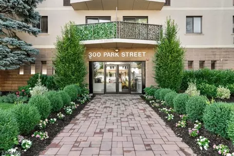 300 Park St, Hackensack, NJ 07601 photo 4