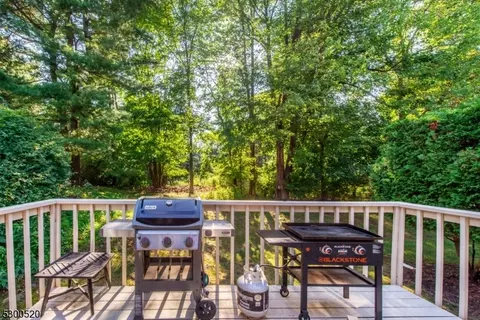 20 Birch Ln, Wayne, NJ 07470 photo 32