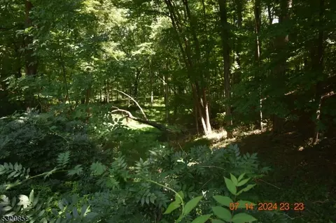 105 Halsey Rd, Newton, NJ 07860 photo 31