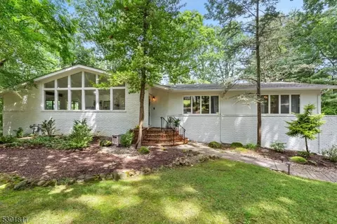 41 Stanie Brae Dr, Watchung, NJ 07069