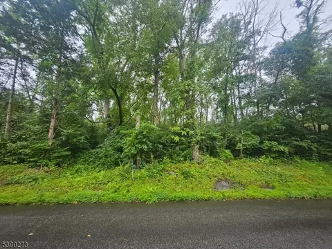 33 Rubin Hill Rd, Montague Twp, NJ 07827