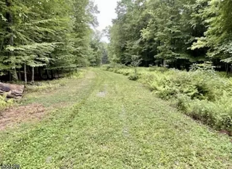 27 Devita Rd, Sandyston Twp, NJ 07826