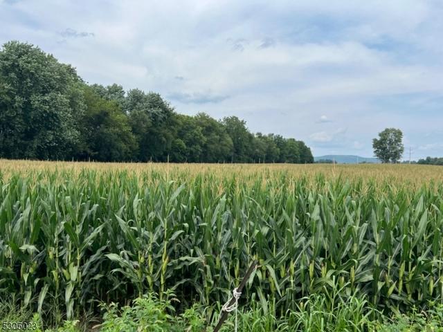 950 Brass Castle Rd, White Twp, NJ 07823