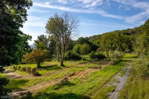 1 Alexandria Overlook, Alexandria Twp, NJ 08848