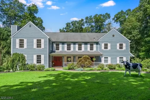 36 Mountain View Dr, Chester, NJ 07930