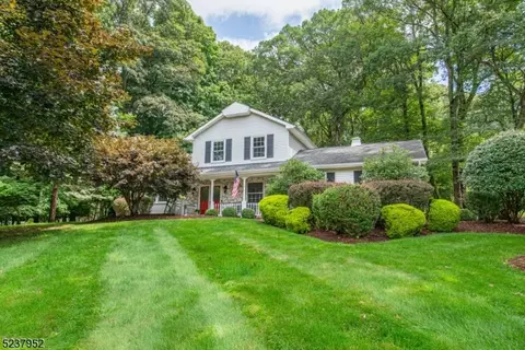 10 Rosalyn Dr, Washington Twp, NJ 07853