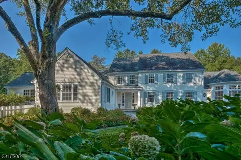 88 Village Rd, Green Village, NJ 07935