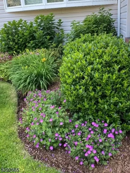 9 Woodside Rd, Springfield, NJ 07081 photo 21