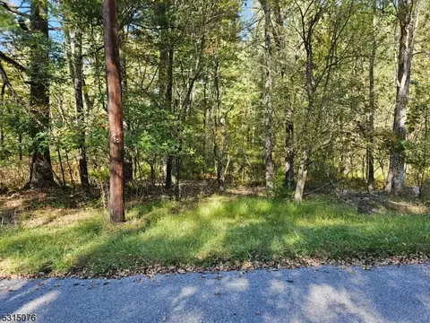 20-22 Beach Dr, Montague Twp, NJ 07827