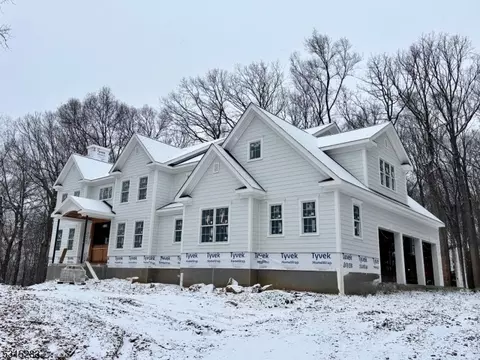 3 Rainetree Rdg, Far Hills, NJ 07931