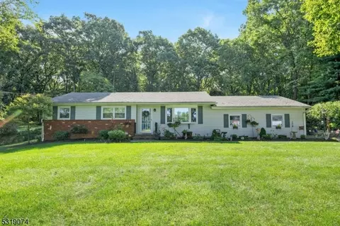 21 Tinc Rd, Mount Olive, NJ 07836
