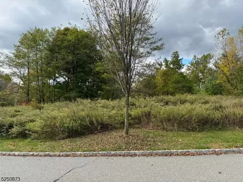 20 Quarry Mountain Ln, Montville Twp, NJ 07045