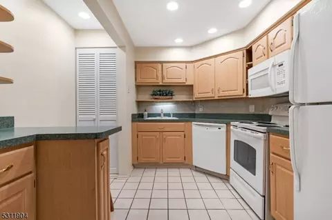 63 Commonwealth Dr, Basking Ridge, NJ 07920 photo 14