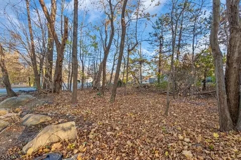 42 Elena Pl, Dover, NJ 07801 photo 41