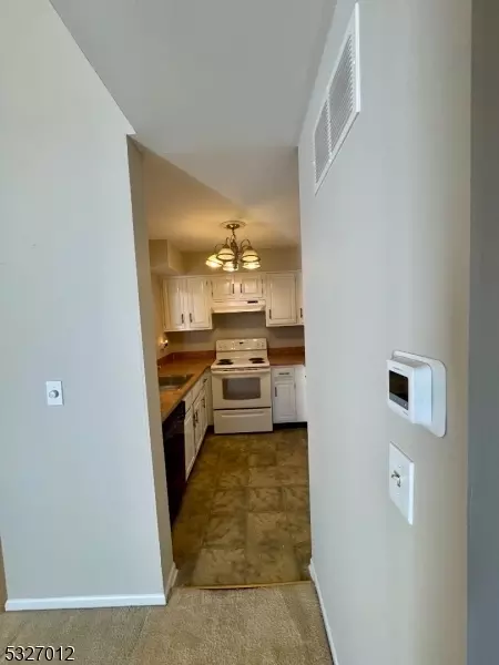 4 Pine Ct, Bedminster, NJ 07921 photo 20