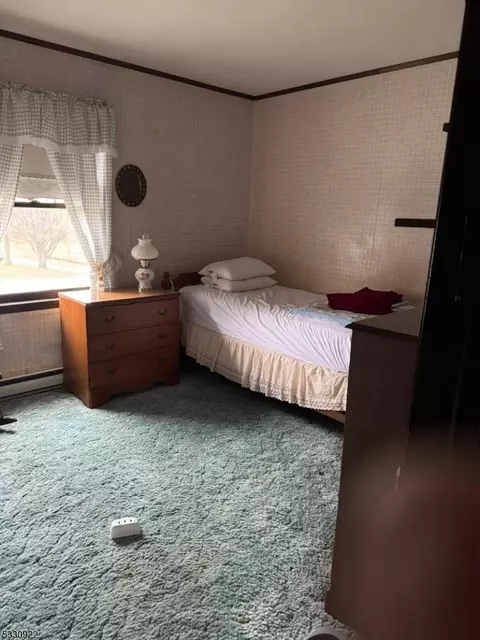 4 David Dr, Frankford, NJ 07822 photo 3