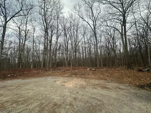 7 Black Bear Dr, Montague Twp, NJ 07827