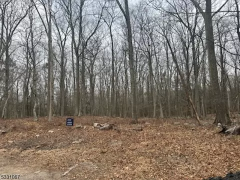 9 Black Bear Dr, Montague Twp, NJ 07827